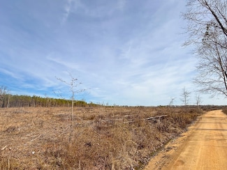0 Mooney Trail, Prattsville, AR 72129