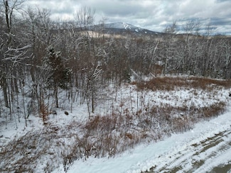 41 Moose Hollow Rd, Winhall, VT 05340