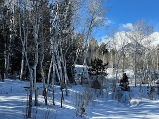 14750 Quartz Cir, Salida, CO 81201