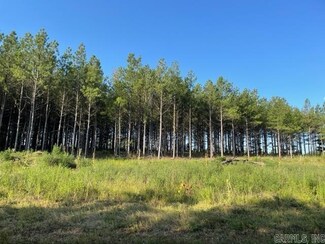 Lot 4 Ph 3 Tupelo Ridge, Conway, AR 72034