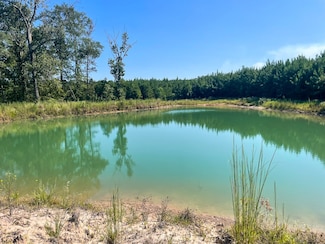 tbd Union Springs Rd, Corrigan, TX 75939