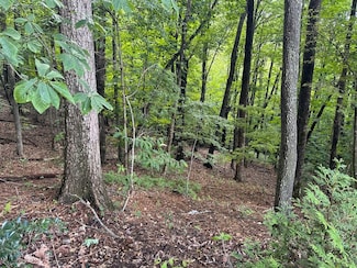 Lot 20 Rock Creek Ct, Sapphire, NC 28774