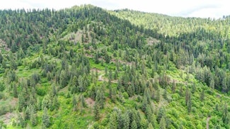 4639 Howard Hills Way, Loon Lake, WA 99148
