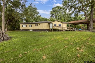 22530 Trailwood Rd, Flint, TX 75762