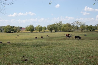 990 Clay Kiser Rd, Paris, KY 40361