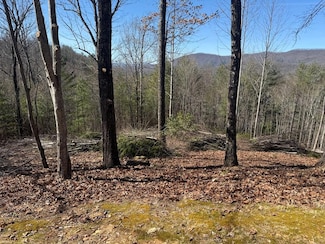 Lot 56 Fires Creek Cove Rd, Hayesville, NC 28904