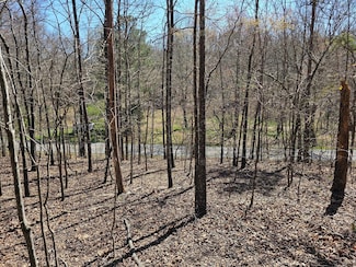 Tract 4 Prior Station Rd, Cedartown, GA 30125