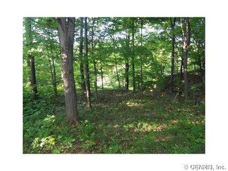 0 Erway Sub Ln Unit R256591, Carlton, NY 14411