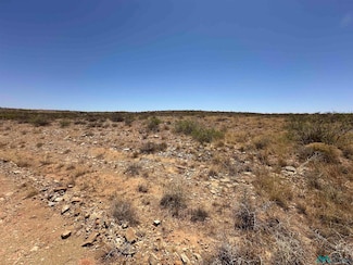 Lot 33 Vista Del Lago Land, Elephant Butte, NM 87935