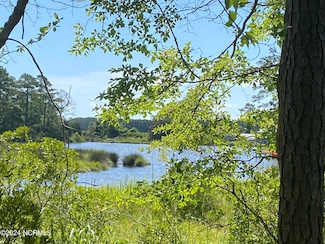 281 Winding Creek Dr, Oriental, NC 28571