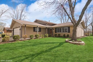 713 Slingerland Dr, Schaumburg, IL 60193
