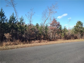126 Harborgate Dr, Denton, NC 27239