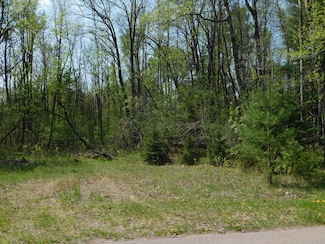 0 E Reed St, Wittenberg, WI 54499