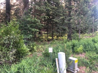 3 Old Mill Dr, McCloud, CA 96057