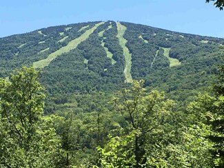 34 Mountain View Rd, Winhall, VT 05360