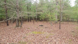 13 Forest Lake Dr, Lincolnton, GA 30817