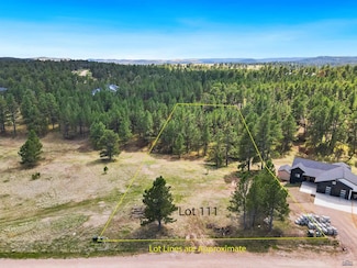 TBD Frontier Loop Unit lot 111, Piedmont, SD 57769