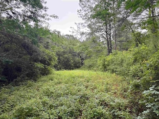 29660 Hammett Rd, Andalusia, AL 36420