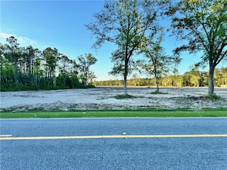 2966 Dean Still Rd, Blackshear, GA 31516