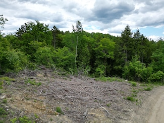 Lot 4 Shep Rd, Springfield, ME 04487