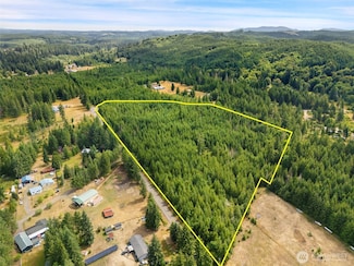 0 Lot B W Satsop Bridge Rd, Elma, WA 98541