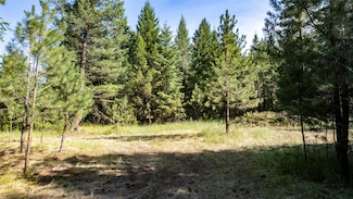 Lot 25 Park Circle Dr, Polson, MT 59860