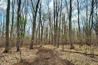 French Rd, Beecher, WI 54156