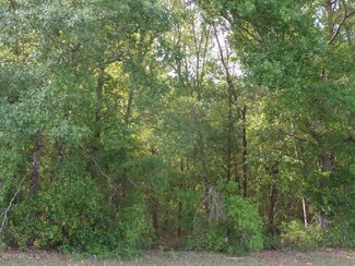 00 County Road 219, Melrose, FL 32666