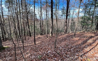 J-214 Walnut Mountain Rd, Ellijay, GA 30536