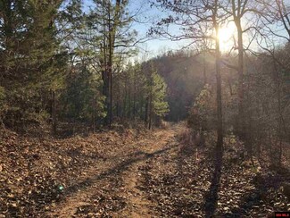 Off Mallard Ln, Flippin, AR 72634