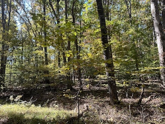 00 Iron Gate Dr, Baneberry, TN 37890