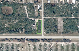 100 Citrus Blvd, Lake Placid, FL 33852
