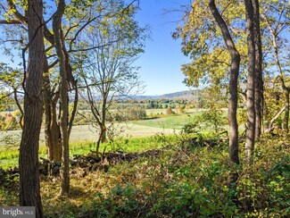0 Ridgeside Rd Unit VALO2060072, Bluemont, VA 20135