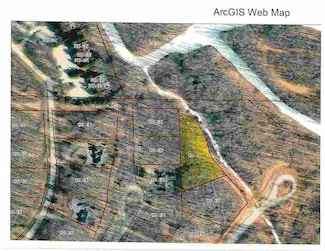340 Pleasant Ridge Dr Unit 55, Harbor Springs, MI 49740
