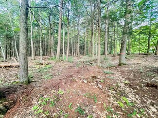 890 Baker Turn Unit 2092, Quechee, VT 05059