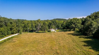 242 Blue Jay Dr, Chadwick, MO 65629