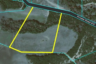 1615 County Road 1006, Glen Rose, TX 76043