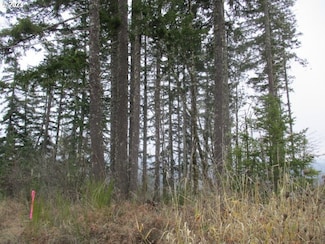 0 SW Rock Creek Rd Unit 216113550, Sheridan, OR 97378