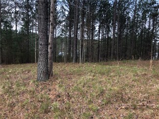 2-56 Spring Cove Way, Six Mile, SC 29682