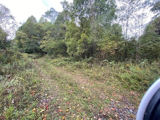 TBD Bandy Rd Whitaker Ridge Area, Bandy, VA 24602