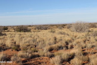 Lot 224 Ccr, Heber, AZ 85928