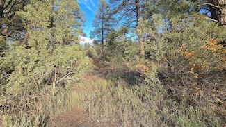 244 Ute Dr, Pagosa Springs, CO 81147