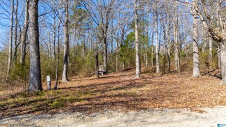 2863 Alabama 204 Unit 1, Jacksonville, AL 36265
