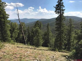 0 Golden Rule Rd Unit 744958, Pitkin, CO 81241