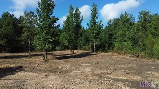 Tract 2 Leonard Chapel Rd, Independence, LA 70443