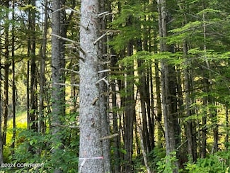 L16 & 17 Evergreen Ave, Wrangell, AK 99929