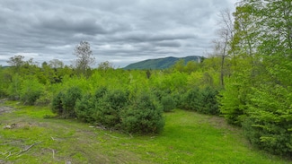 0 Whitney Rd Unit 1623610, Bridgton, ME 04009