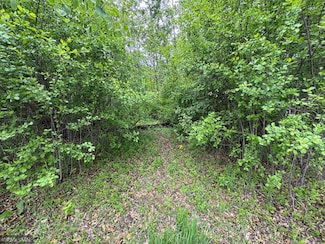 TBD Walnut St S, Mora, MN 55051