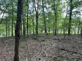 0 Camp Branch Rd Unit 130270, Ellijay, GA 30540