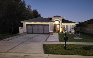 11738 Brenford Crest Dr, Riverview, FL 33579